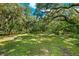 Spacious backyard with lush grass and mature trees at 321 S Brooksville Ave, Brooksville, FL 34601