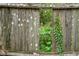 Old wooden fence with vines and white spots at 14335 Snow Memorial Hwy, Brooksville, FL 34601