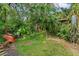 Lush backyard with wheelbarrow and bird feeder at 14335 Snow Memorial Hwy, Brooksville, FL 34601