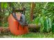 Upside-down orange wheelbarrow in lush green landscape at 14335 Snow Memorial Hwy, Brooksville, FL 34601