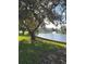 Peaceful lakefront view with lush green grass and mature trees at 11200 86Th Ave # 204, Seminole, FL 33772