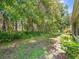 Landscaped backyard with lush greenery and trees offering privacy at 4264 Braemere Dr, Spring Hill, FL 34609
