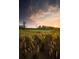 Scenic golf course with tall grass at sunset at 6109 Dusk Rose Ln, Brooksville, FL 34601
