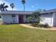 Charming home featuring a well-maintained lawn, mature palms, and a welcoming red front door at 3544 Wilson Dr, Holiday, FL 34691
