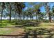 Wooded area with grassy areas and palm trees at 8812 Camp Ln, Hudson, FL 34667