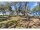 Expansive yard with mature trees and palm trees near the cottage at 8812 Camp Ln, Hudson, FL 34667