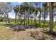 Open grassy area with mature trees and palm trees at 8812 Camp Ln, Hudson, FL 34667