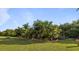 Landscaped backyard with tropical plants at 6150 Ivory Bill Dr, Englewood, FL 34224