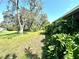 Landscaped backyard with lush greenery at 8111 Roxboro Dr, Hudson, FL 34667