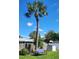 Backyard with bench, palm tree, and storage shed at 8535 Bella Via, Hudson, FL 34667