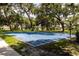 Outdoor basketball court nestled among mature trees at 3323 Golden Eagle Dr, Land O Lakes, FL 34639