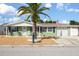 Charming ranch-style home with green exterior and palm tree at 3423 Umber Rd, Holiday, FL 34691
