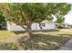 Side view of a charming ranch home with white brick exterior and mature tree at 7240 Nova Scotia Dr, Port Richey, FL 34668