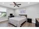 Bright bedroom with hardwood floors, a ceiling fan and plenty of natural light at 12135 Crestridge Loop, Trinity, FL 34655