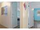 Hallway with doors leading to bedrooms at 3018 Greynolds Ave, Spring Hill, FL 34608