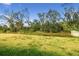 Backyard with grassy area and tree line at 5230 Fiddle Fig Ave, Wimauma, FL 33598