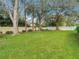 Large backyard featuring lush lawn, mature trees, privacy fence, and tranquil outdoor space at 6206 Soaring Ave, Temple Terrace, FL 33617