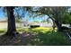 Beautiful backyard with healthy lawn, tall trees, fence, and a screened-in patio with pool at 6206 Soaring Ave, Temple Terrace, FL 33617