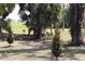 Lush backyard featuring young trees and a sprawling green lawn at 6392 Summit View Dr, Brooksville, FL 34601