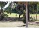 Scenic backyard view with mature trees and a glimpse of the grassy area at 6392 Summit View Dr, Brooksville, FL 34601