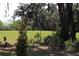 Expansive backyard with mature trees and lush green backdrop at 6392 Summit View Dr, Brooksville, FL 34601