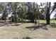 Lush backyard featuring tall palm trees, mature trees, and a spacious green area for leisure at 6392 Summit View Dr, Brooksville, FL 34601