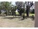 Wide open backyard featuring tall palm trees, mature trees, and a spacious green area for outdoor fun at 6392 Summit View Dr, Brooksville, FL 34601