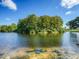 Tranquil lake view with lush vegetation at 7719 Cosme Dr # 1, Hudson, FL 34667