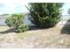 Side yard with mature shrubs and grass at 7204 Westcott Dr, Port Richey, FL 34668