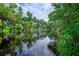Serene river view with lush greenery at 10421 High Noon Trl, Parrish, FL 34219