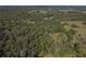 Wide shot of expansive, wooded land at 13080 Old Crystal River Rd, Brooksville, FL 34601