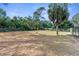 Spacious backyard with mature trees at 13242 Little Farms Dr, Spring Hill, FL 34609
