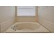 Bathroom featuring a large soaking tub at 20743 Nectarine Pl, Land O Lakes, FL 34637