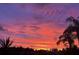 Colorful sunset view with palm trees in silhouette at 8231 Coral Creek Loop, Hudson, FL 34667