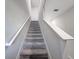 Carpeted staircase leading to the second floor at 16864 Red Brick Ln, Land O Lakes, FL 34638