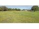 Expansive green lawn with a background of trees on the property at 2293 Dog Leg Ct, Brooksville, FL 34604