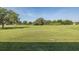 Large grassy yard ideal for outdoor activities, surrounded by mature trees and landscaping at 2293 Dog Leg Ct, Brooksville, FL 34604