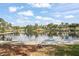 Scenic waterfront view with calm water and trees at 203 S Spring Blvd, Tarpon Springs, FL 34689