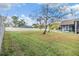 Expansive grassy backyard with mature trees at 25315 Sherwood Dr, Land O Lakes, FL 34639