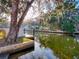 Peaceful waterfront view with lush vegetation and calm waters at 6176 Island Dr, Weeki Wachee, FL 34607