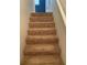 Carpeted staircase with access to upper level bedrooms at 6429 Remus Dr, New Port Richey, FL 34653