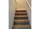 Carpeted staircase leading to the upper level at 6429 Remus Dr, New Port Richey, FL 34653