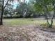 Open backyard with mature trees and a wooden fence at 10448 Canary Ave, Weeki Wachee, FL 34613