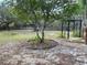 Large backyard with mature trees and a partially fenced area at 10448 Canary Ave, Weeki Wachee, FL 34613