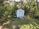 Backyard with shed and surrounding trees at 12266 Birch St, Brooksville, FL 34613