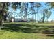 Ranch home surrounded by tall trees and lush green grass at 8700 Ross Ln, New Port Richey, FL 34654