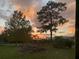 Peaceful backyard view at sunset with mature trees at 8700 Ross Ln, New Port Richey, FL 34654