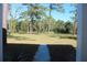 Spacious backyard with lush green grass and tall trees at 8700 Ross Ln, New Port Richey, FL 34654