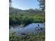 Tranquil waterfront view with birds and lush greenery at 8700 Ross Ln, New Port Richey, FL 34654