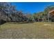 Open grassy backyard with mature trees at 10525 Hilltop Dr, New Port Richey, FL 34654